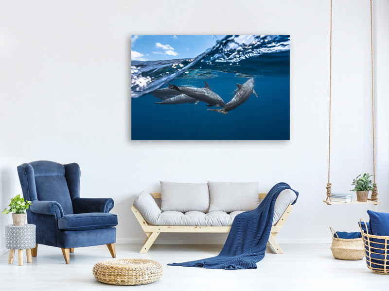 modern-4-piece-canvas-print-dolphins