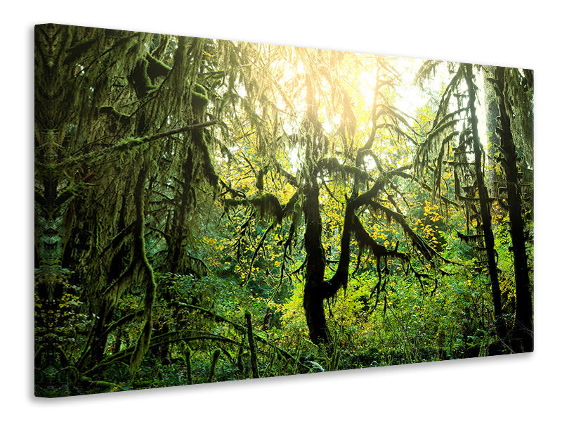 modern-4-piece-canvas-print-dreamy-forest