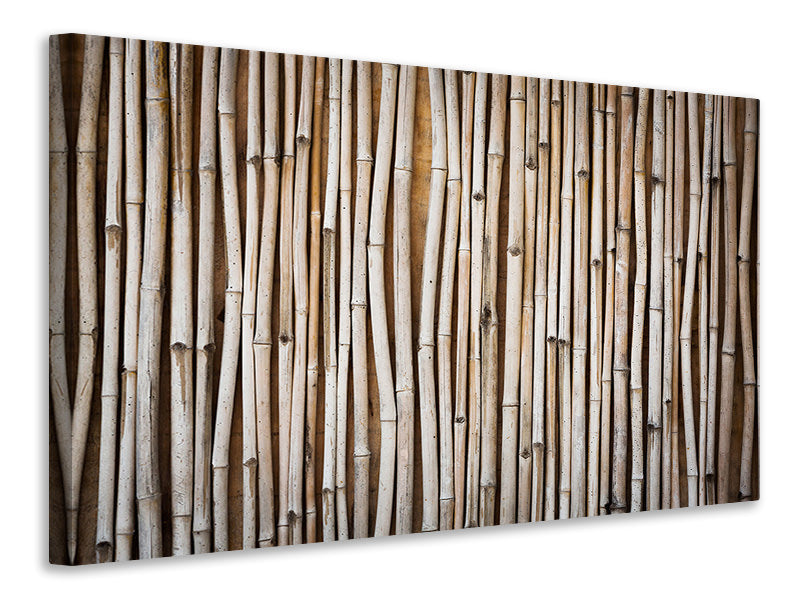 3-piece-canvas-print-dried-bamboos