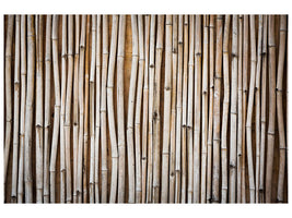 panoramic-canvas-print-dried-bamboos