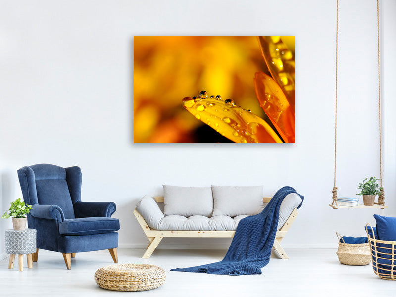 modern-4-piece-canvas-print-drops-close-up