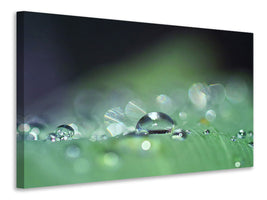5-piece-canvas-print-drops-of-water-in-xxl