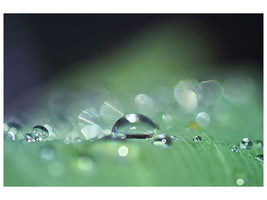 modern-4-piece-canvas-print-drops-of-water-in-xxl