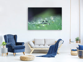 panoramic-canvas-print-drops-of-water-in-xxl