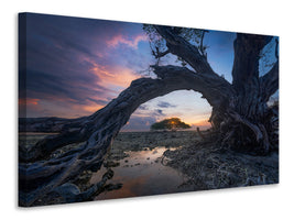 panoramic-3-piece-canvas-print-dry