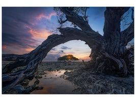 3-piece-canvas-print-dry