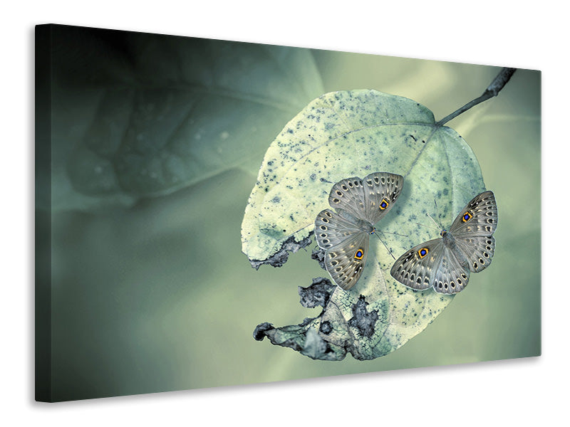 3-piece-canvas-print-duet