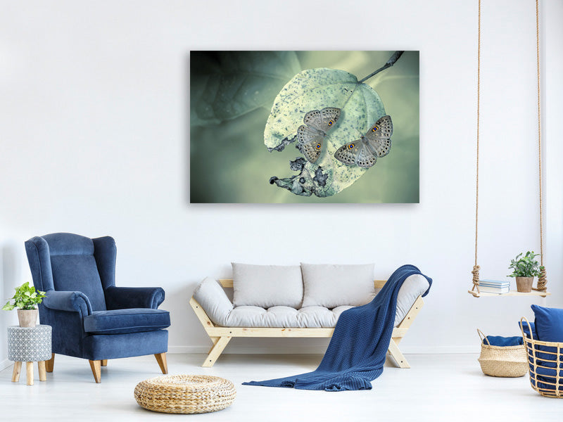 modern-4-piece-canvas-print-duet