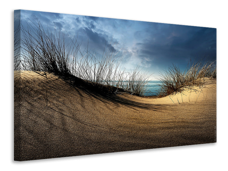 5-piece-canvas-print-dunes