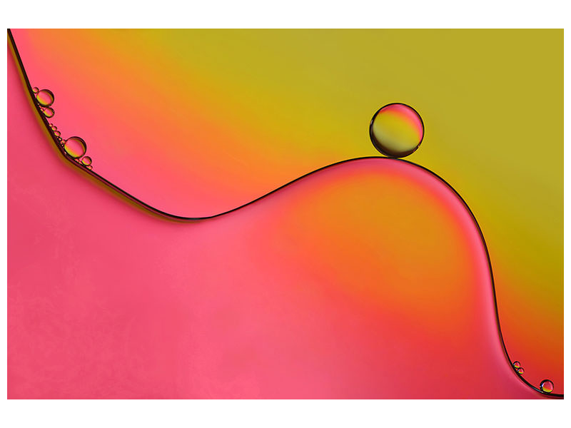 4-piece-canvas-print-during