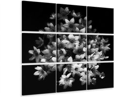 4-piece-canvas-print-early-sensation