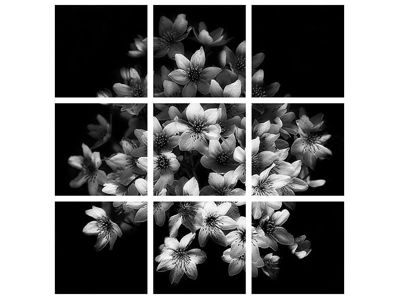 4-piece-canvas-print-early-sensation
