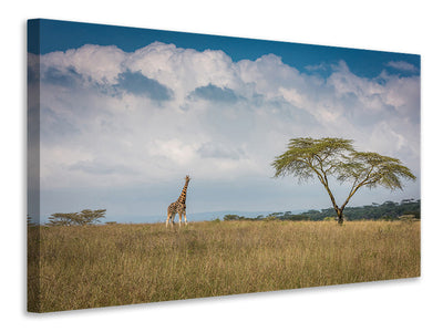 modern-3-piece-canvas-print-east-africa