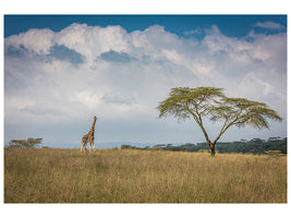 4-piece-canvas-print-east-africa
