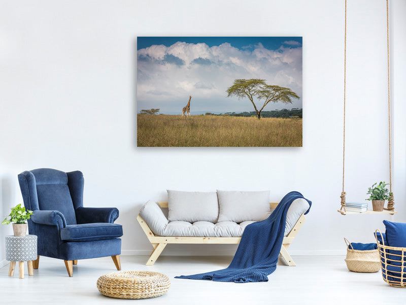 modern-3-piece-canvas-print-east-africa