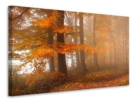 4-piece-canvas-print-edge-of-the-woods