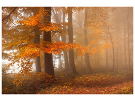 modern-4-piece-canvas-print-edge-of-the-woods