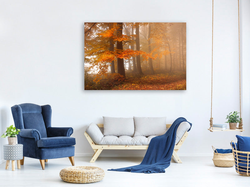 4-piece-canvas-print-edge-of-the-woods