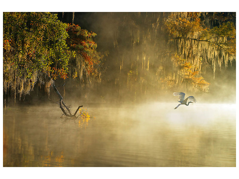 3-piece-canvas-print-egret