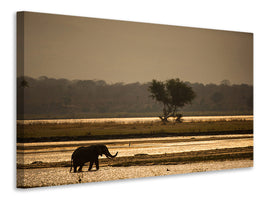 panoramic-canvas-print-elephant-alone-in-the-steppe