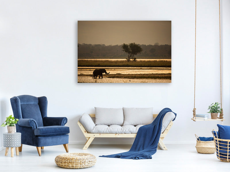 panoramic-canvas-print-elephant-alone-in-the-steppe