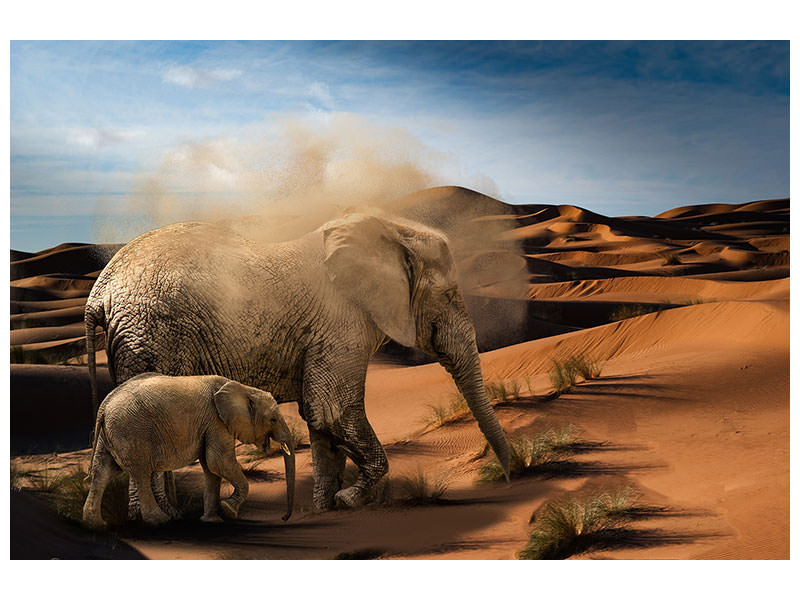 3-piece-canvas-print-elephants-in-the-desert