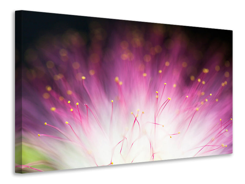 modern-3-piece-canvas-print-elfin
