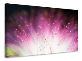 4-piece-canvas-print-elfin