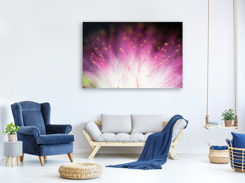 5-piece-canvas-print-elfin