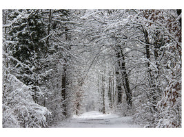 3-piece-canvas-print-enchanted-winter-forest
