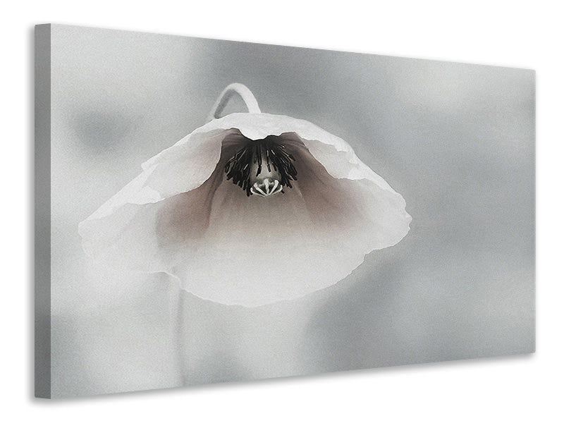 panoramic-canvas-print-ephemeral-beauty-ii