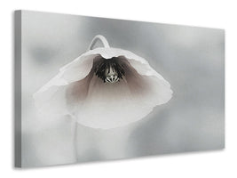 5-piece-canvas-print-ephemeral-beauty-ii