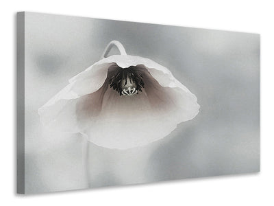 modern-3-piece-canvas-print-ephemeral-beauty-ii