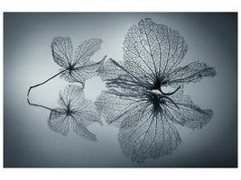 modern-4-piece-canvas-print-ephemeral-beauty