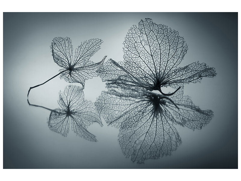 modern-4-piece-canvas-print-ephemeral-beauty