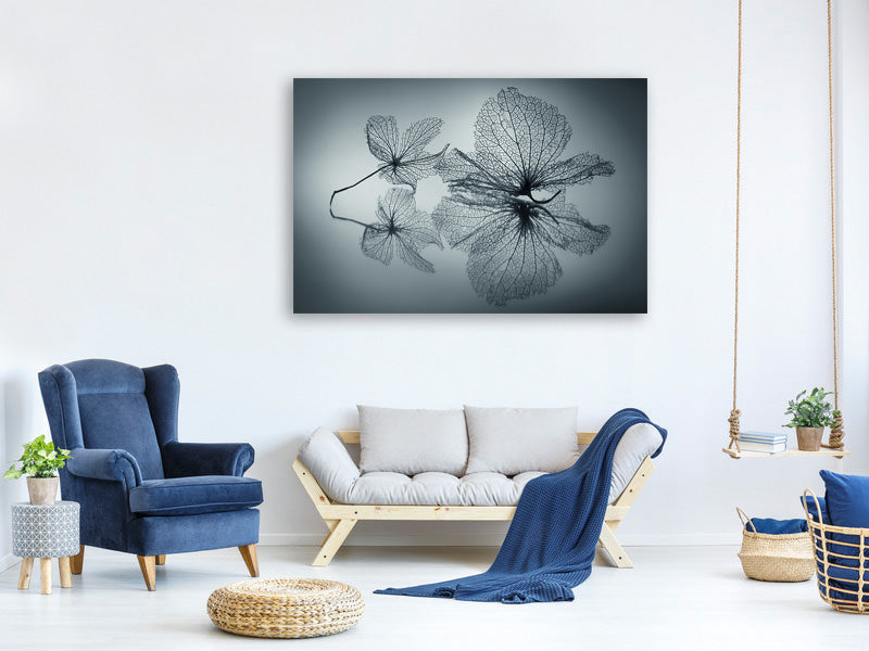 modern-4-piece-canvas-print-ephemeral-beauty