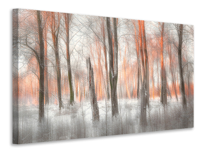 panoramic-3-piece-canvas-print-evening-light