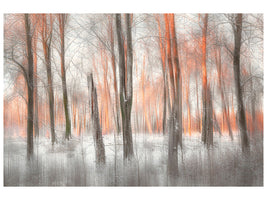 modern-4-piece-canvas-print-evening-light