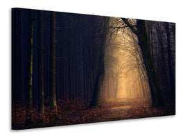 5-piece-canvas-print-evening-mood-in-the-forest