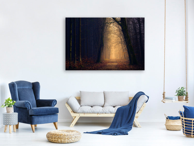 3-piece-canvas-print-evening-mood-in-the-forest
