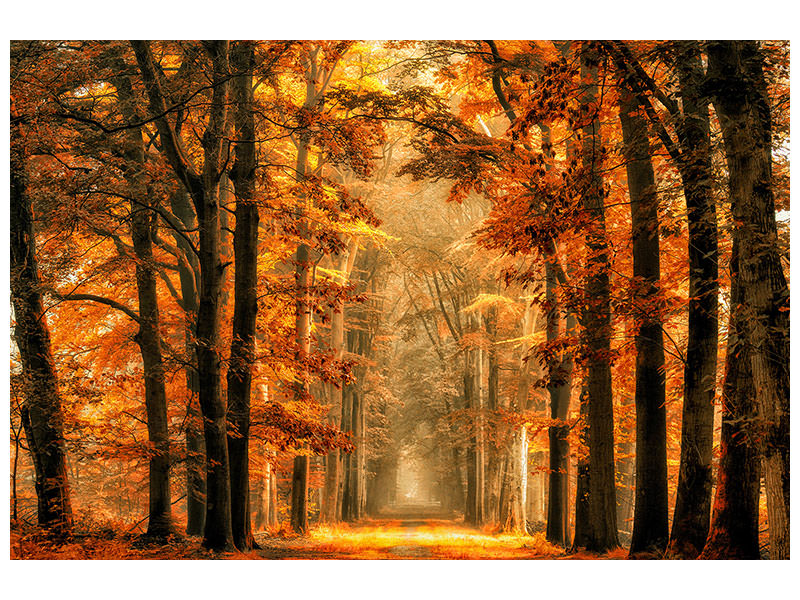 3-piece-canvas-print-exit-the-portal