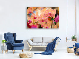 modern-4-piece-canvas-print-exotic-orchids