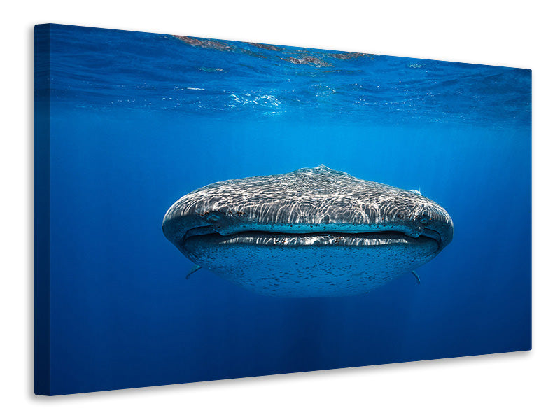 4-piece-canvas-print-face-to-face-with-a-whale-shark