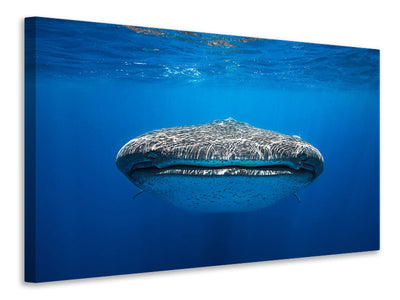 3-piece-canvas-print-face-to-face-with-a-whale-shark