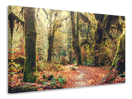 5-piece-canvas-print-fairies-forest