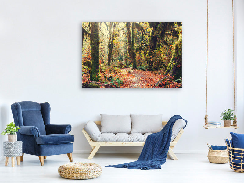 5-piece-canvas-print-fairies-forest