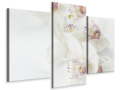 canvas-print-fantastic-orchids