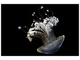 3-piece-canvas-print-fascinating-jellyfish
