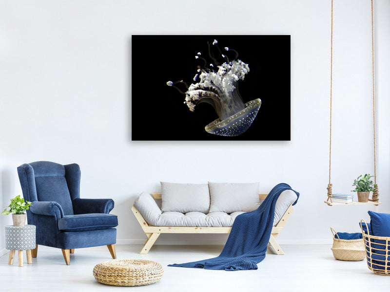 5-piece-canvas-print-fascinating-jellyfish