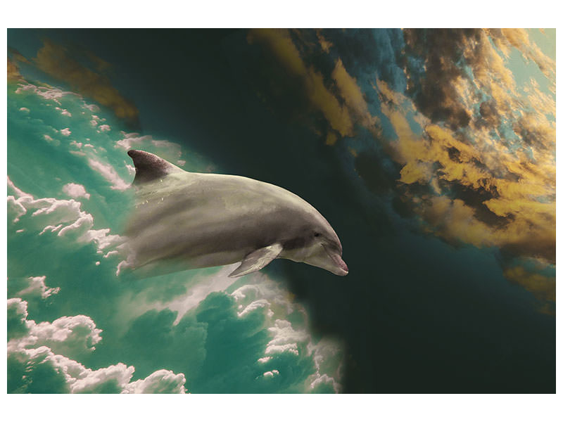panoramic-3-piece-canvas-print-fascination-dolphin